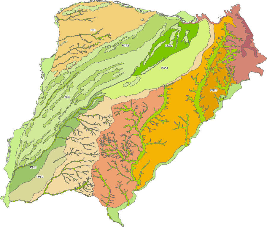 overview